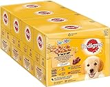 Pedigree Junior Hundenassfutter Vital Protection für Welpen, 48 Portionsbeutel,...