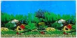 Europet Bernina 241-108772 Photo-Rückwand, 80 x 40 cm Motiv Sea und Rock