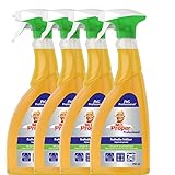 4x Mr. Proper Professional Kraftvoller Fettlöser 750ml Sprühflasche Mr. Proper...