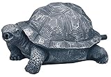 OASE 36778 Wasserspeier Schildkröte | Teichfigur | Dekoration | Wasserstrahl |...