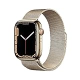 Apple Watch Series 7 (GPS + Cellular, 45mm) Smartwatch - Edelstahlgehäuse...