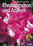 Rhododendron und Azaleen