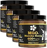 BEE NATURAL Manuka Honig MGO® 600+ 1000g (= 4 x 250g) / ECHTGLAS...