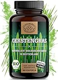 Gerstengras Kapseln -BIO- 360 Stück - 3000mg je Tagesdosis I WICHTIG: 100% Zertifizierte...