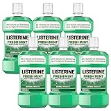 LISTERINE Fresh Mint (6 x 500 ml), antibakterielle Mundspülung mit ätherischen Ölen...