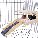 Treesunshine Holz Hamsterhaus, Meerschweinchen Haus mit Abnehmbare Treppe,...