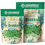 ZenGreens® - Bio Ur-Brokkoli Sprossen Samen - Wähle zwischen 10g, 200g und 500g -...