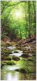 Wallario Selbstklebende Türtapete Fluss im Wald - Türposter 93 x 205 cm...