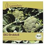 Samenliebe BIO Brokkoli Samen alte Sorte Ramoso Calabrese italienischer Broccoli...