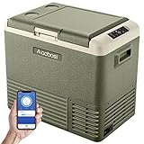 AAOBOSI Kompressor Kühlbox,auto kühlbox,50L kühlbox für die Lagerung von Getränke und...