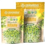 ZenGreens® - Bio Alfalfa Sprossen Samen - Wähle zwischen 200g und 500g - Alfalfa Samen...