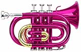 Classic Cantabile Brass TT-400 Bb-Taschentrompete (Messing, Schallbecher Durchmesser: 93...