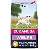 Eukanuba Welpenfutter mit frischem Huhn für kleine Rassen, Premium Trockenfutter für...