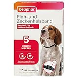 Beaphar 17596 Floh- und Zeckenhalsband für Hunde, 60 cm