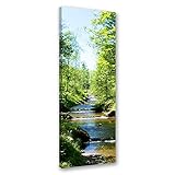 Leinwandbilder Wald Fluss XXL 60x150 cm 1 Teilig Wohnzimmer Schlafzimmer Büro...