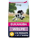 Eukanuba Welpenfutter mit frischem Huhn für mittelgroße Rassen, Premium Trockenfutter...