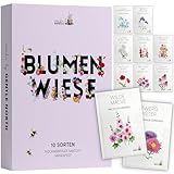 Blumen Samen Set - 10 bunte Blumensamen Sorten für den Garten oder Balkon, die...