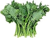 Cime Di Rapa Early Fall Rapini Rabe?50 Seeds?Asparagus?Non-GMO:Seeds