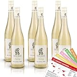 Hans Baer Riesling alkoholfrei, lieblich, sortenreines Weinpaket (6 x 0,75l) + VINOX...