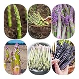 500 Pcs Wilder Spargel Samen - Spargelsamen - Geschenke Für Gartenliebhaber...