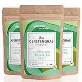 Gerstengrassaft Pulver - 250 g (XL Packung) - aus Kansas USA, abgefüllt in Bayern I...