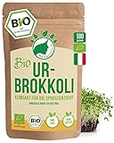 NanaNatura's Bio Ur-Brokkoli Sprossen Samen 180g | Keimfähige Brokkoli-Samen mit hohem...