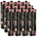 Piacere Sangiovese Rosé Italia (12 x 1,0l)