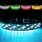 Leuchthalsband Hund - hundehalsband Leuchtend - LED Blinklicht und Reflektorstreifen - USB...