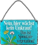 schilderkreis24 – Blechschild Lustiger Spruch “Nein Hier wächst kein...