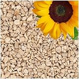 Lyra Pet® | 25 kg Sonnenblumenkerne Geschält Bruch | Wildvogelfutter Ganzjährig |...