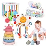 Hoarosall Montessori Baby Spielzeug 5 in 1 Babyspielzeug ab 6 Monate inklusive...