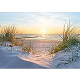 Runa Art Fototapete Strand Sonnenuntergang 352 x 250 cm Vlies Tapeten XXL Moderne...