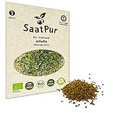 SaatPur Bio Keimsprossen - Keimsaat für Alfalfa Sprossen, Microgreen - 50g