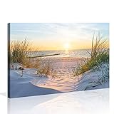 Visario 120 x 80 cm Bild auf Leinwand Dünen Nordsee Ostssee 5009 deutsche Marke und...