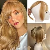 KARLOR 3D Pony Extension Haare Clip in Pony mit Schläfen & Hairline...