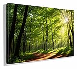 QMENA Wandposter,Bilderwand,Pictures Grüne Wandbild, Sonne scheint im Wald Wohnzimmer...