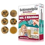 Schimmeltest für Baby- und Kinderzimmer – Schimmel Test zur Bestimmung der...