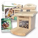 BellMietz® Eichhörnchen Futterhaus [extra sicher, stabil & wetterfest] | Holz FSC...