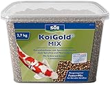 Söll KoiGold Mix, 7 l - Koifutter mit Spurenelementen und Vitaminen zur...