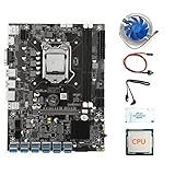 Dariokki B75 12USB BTC Miner Motherboard+CPU+L¨¹Fter+Thermal Grease+Switch Kabel+SATA...