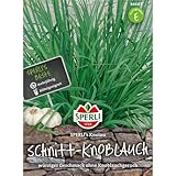 Schnitt-Knoblauch SPERLING`s Knolau