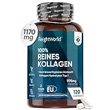 Weightworld Kollagen Kapseln - 1170mg pures Marine Collagen - 120 Capsules - NatiCol...