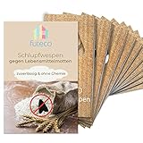 Futeco® – Schlupfwespen gegen Lebensmittelmotten (20 Karten á 3 Lieferungen) – 100%...