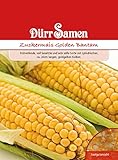 Zuckermais Samen Golden Bantam Zuckermaissamen Maissamen Mais ca 65 Korn Saatgut Garten...