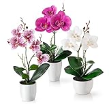 PASCH® Kunstblumen im Topf (36cm) - 3er Set Orchideen künstlich abgestimmtes...