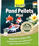 Tetra Pond Pellets Mini - Fischfutter für kleine und junge Teichfische, unterstützt...