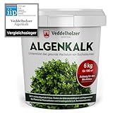 DER SIEGER 09/2020 Veddelholzer 6kg Bio Algenkalk 100% reines Pulver aus...