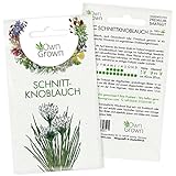 Schnittknoblauch Samen mehrjährig: Schnittknoblauch Pflanze zur Anzucht von 100 Kräuter...