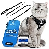 Blue Pawz Katzengeschirr mit Leine - 170cm | Katzengeschirr ausbruchsicher & hochwertig |...