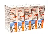 NASENSPRAY ratiopharm, für Sinusitis Erwachsene 10 Packungen - Sparset 10x15ml